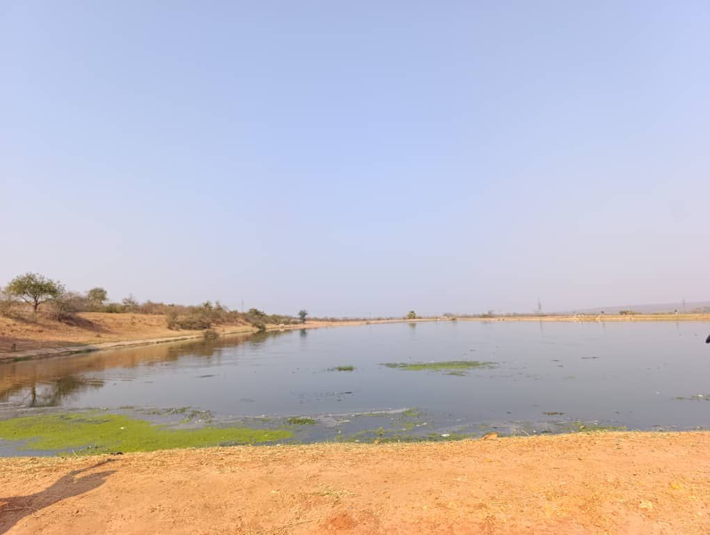 Community Development